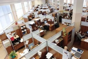 Bureaux en openspace
